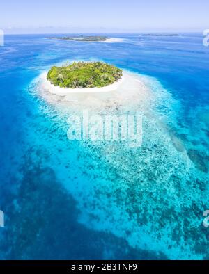 Eine idyllische tropische Insel ist umgeben von Riff in der Halmahera-See, Indonesien. Diese abgelegene Region gehört zum Herzen des Korallendreiecks. Stockfoto