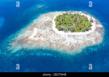 Eine idyllische tropische Insel ist umgeben von Riff in der Halmahera-See, Indonesien. Diese abgelegene Region gehört zum Herzen des Korallendreiecks. Stockfoto