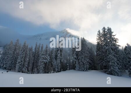 Fantastische Schneeschuhtour auf dem Hochgrat bei der Nagelfluhkette im Allgau, Bayern Stockfoto
