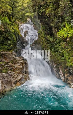 Christie Falls am Falls Creek am Zusammenfluss von Hollyford River, Fiordland-Nationalpark, in der Nähe von Milford Sound, Southland Region, South Island, Neuseeland Stockfoto