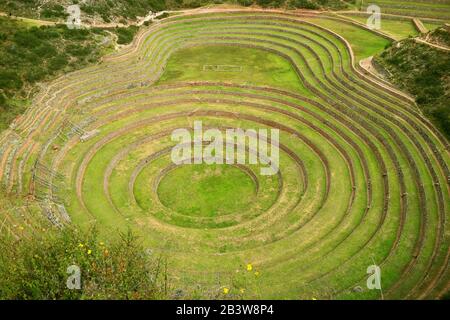 Gut Erhaltene Historische landwirtschaftliche Terrassen von Moray im Heiligen Tal der Inkas, Region Cusco, Peru Stockfoto