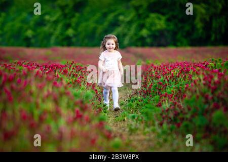 Wunderschönes lächelndes Kindermädchen in rosafarbenem Kleid auf dem Feld des roten Kleeblatts in der Sonnenuntergangszeit Stockfoto