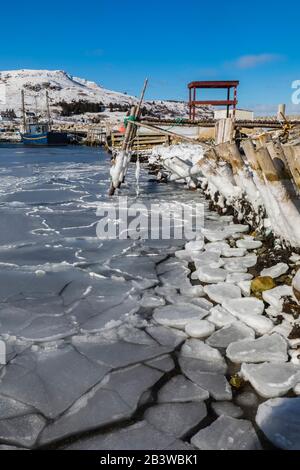 Meereis zerbrach entlang der Bucht in Ferryland, Neufundland, Kanada [keine Eigentumsfreigabe; nur für redaktionelle Lizenzierung verfügbar] Stockfoto