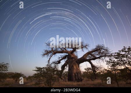 Startrail auf der Kukonje-Insel Stockfoto
