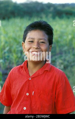 San Miguel de Allende, Guanajuato Mexiko, 1996: 13-jähriger Junge aus der Bauernfamilie posiert vor dem Maisfeld der Familie. HERR ©Bob Daemmrich Stockfoto