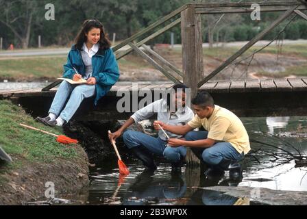 Round Rock, Texas USA: Hispanische Schüler, die in Brushy Creek Wasserproben für ein Science-Class-Projekt suchen. HERR ©Bob Daemmrich Stockfoto