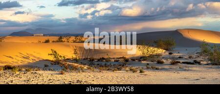 Schöne Landschaft mit Sanddünen im Nationalpark Dunas de Corralejo, Kanarische Inseln, Fuerteventura Stockfoto