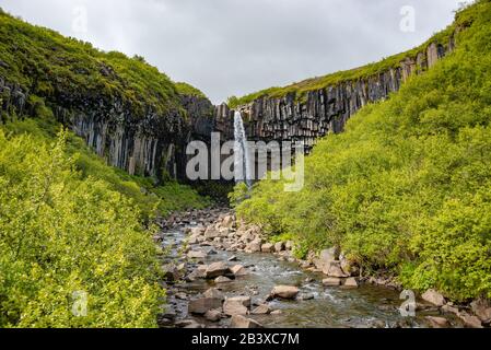 Wunderbar und hohe Svartifoss Wasserfall mit schwarzen Basaltsäulen auf South Island, Sommer Stockfoto