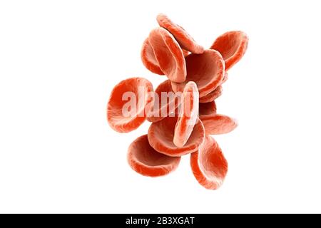 Gruppe roter Blutkörperchen, Erythrozyten isoliert auf weißem Hintergrund. 3D-Abbildung. Stockfoto