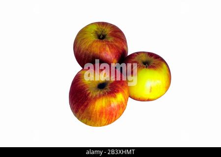 Drei frisch nasse rote Äpfel isoliert auf weißem Grund. Stockfoto