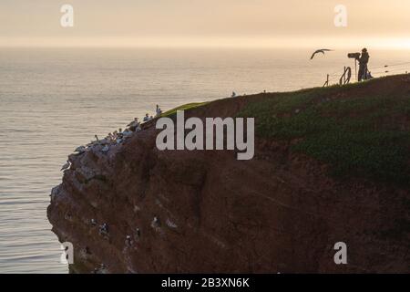 Nordseeinsel Helgoland, Provinz Schleswig-Holstein, Kreis Pinneberg, Norddeutschland, Europa Stockfoto