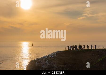 Nordseeinsel Helgoland, Provinz Schleswig-Holstein, Kreis Pinneberg, Norddeutschland, Europa Stockfoto