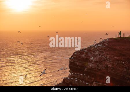 Nordseeinsel Helgoland, Provinz Schleswig-Holstein, Kreis Pinneberg, Norddeutschland, Europa Stockfoto