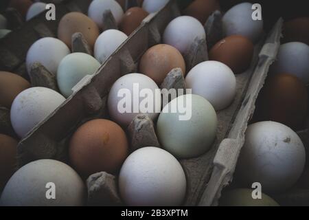 Frischer Karton mit braunen weißen und grünen Eiern auf Dem Markt Stockfoto