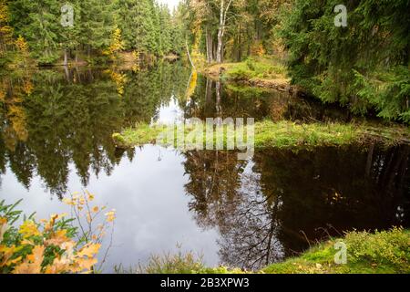 Der kleine See im Wald von Schöneck im sächsischen Vogtland im Herbst. Stockfoto