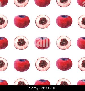 Handbemaltes Muster mit Aquarellscheiben und ganzen samtapfel Stockfoto