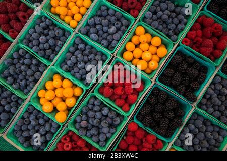 Verschiedene Beeren (Gänsebeeren, Blaubeeren, Brombeeren, Himbeeren) Stockfoto