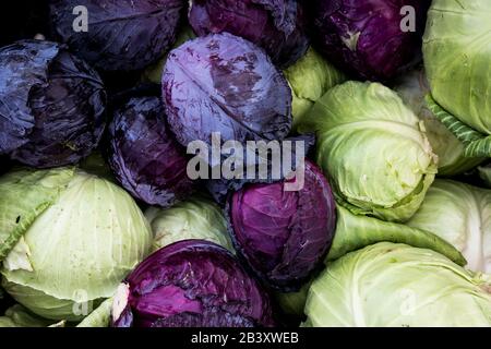 Grünkohl und Purpurkohl auf Dem Markt Stockfoto