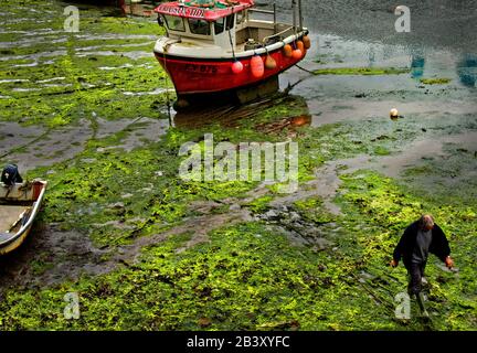 Mevagissey, dessen Name in Cornish Lannvorek ist, ist ein Dorf und Fischerhafen und eine zivile Gemeinde in Cornwall, England. Stockfoto