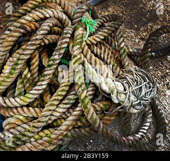 Mevagissey, dessen Name in Cornish Lannvorek ist, ist ein Dorf und Fischerhafen und eine zivile Gemeinde in Cornwall, England. Stockfoto