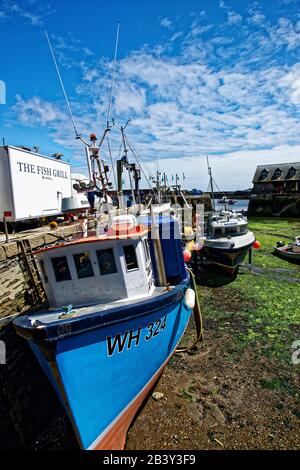 Mevagissey, dessen Name in Cornish Lannvorek ist, ist ein Dorf und Fischerhafen und eine zivile Gemeinde in Cornwall, England. Stockfoto