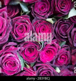 Eine Vielzahl von Farben in der Nähe des Liberty-Ladens in London. Große Blumensträuße in Zinnvasen. Rosa Rosen Stockfoto
