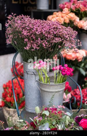 Designkarte aus einem Blumenstrauß aus weißem violettem Ranunculus in Rosa. Stockfoto