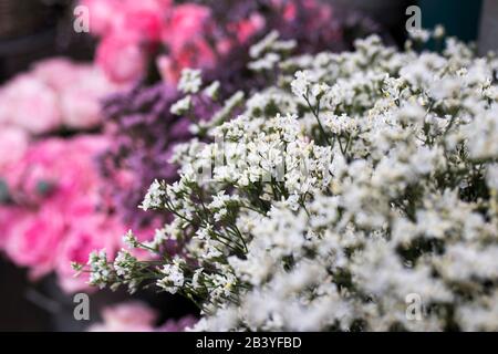 Designkarte aus einem Eukalyptus-Blumenstrauß auf dem Rosenkugel Stockfoto