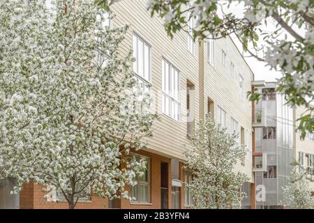 Frühling in der grünen Stadt. Modernes, von blühenden Bäumen umgebenes Wohnhaus. Stockfoto