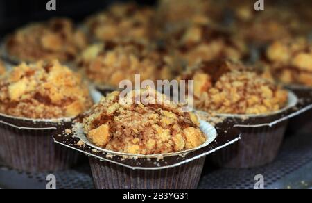 Karotten Tassenkuchen auf Backblech Stockfoto