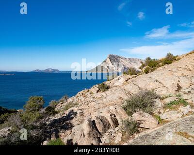 Wunderbarer Blick auf Tavolara von Cala Girgolu aus, Nordsardinien Stockfoto