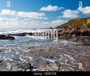 Robuster Strand in Dollar Cove Gunwalloe Cornwall England Großbritannien Europa Stockfoto