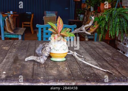 Treibholz auf einem alten Holztisch, der eine bunte Topfpflanze in einem gemütlichen Café-Restaurant umgibt Stockfoto