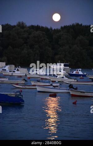Jachthafen der Stadt an der Donau in Belgrad. Nachtlandschaft Stockfoto