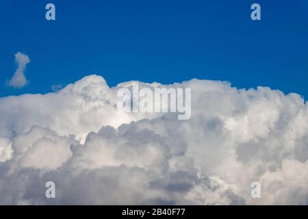 Cumulus wolkt sich auf blauem Himmelshintergrund. Nahaufnahme einer großen Cloud. Frühlingssaison. Stockfoto