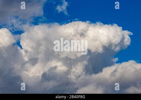 Cumulus wolkt sich auf blauem Himmelshintergrund. Nahaufnahme einer großen Cloud. Frühlingssaison. Stockfoto