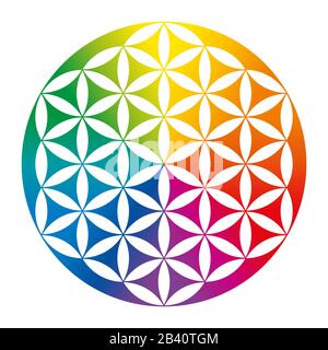 Regenbogen farbige invertierte Blume des Lebens. Geometrische Figur, spirituelles Symbol und heilige Geometrie. Überlappende Kreise bilden eine Blume wie Muster. Stockfoto