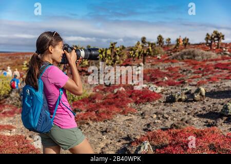 Galapagos Tourist, der Bilder von Wildtieren, Landschaften und Tieren auf den Inseln North Seymour, Galapagos, machte. Erstaunliche Tiere und Tierwelt während der Urlaubsreise auf dem Kreuzfahrtschiff von Galapagos Stockfoto