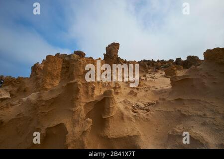 Ein Blick auf einen Abschnitt des versteinerten Holzwaldes am Kap Bridgewater. Entlang der Great Ocean Road in Victoria, Australien. Stockfoto