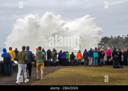 Shore Acres State Park, Coos Bay, Oregon USA Stockfoto