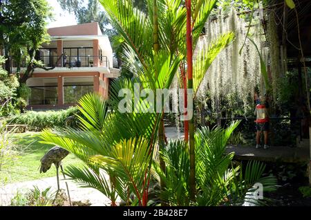 Botanischer Garten, Puerto Plata, Dominikanische Republik Stockfoto