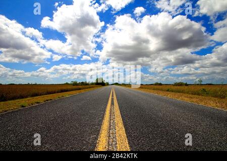 Straße zum Flamingo im everglades Nationalpark Stockfoto