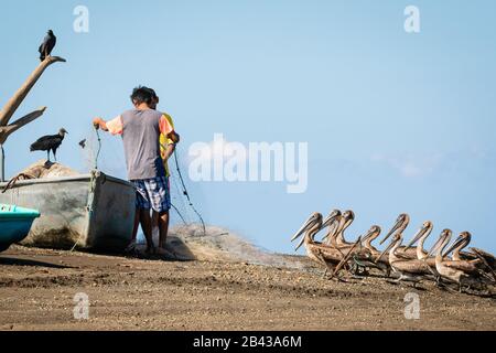 Zwei Fischer am Tarcoles-Fluss in Costa Rica organisieren ihre Ausrüstung unter den wachsamen Augen einiger Braunpelikane. Stockfoto