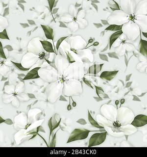 Apfelblüte. Nahtloses Muster weißer Blumen Stockfoto