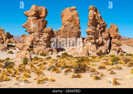 Das Valle de Rocas oder Steintal in der Salzflachregion Uyuni, Bolivien. Stockfoto