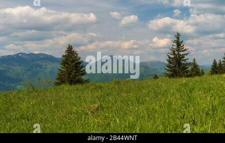 Krivanska Mala Fatra Berge mit Chleb, Hromove, Stoh, Velky Rozsutec und Osnica Hügel von Magura Hügel im Velka Fatra Gebirge oberhalb von Nolcovo Vill Stockfoto