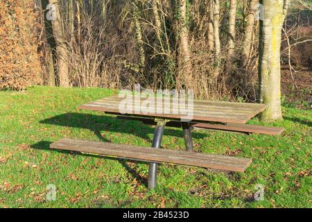 Eine Kombination aus einer Holzbank und einem Tisch irgendwo draußen in einem Park Stockfoto