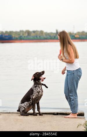 Attraktives Mädchen, das den Hund spazieren geht. Spaß beim Spielen im Freien. Schöne Frau, die einen deutschen Kurzzeigezeiger am Flussufer trainiert. Verspielte Stimmung. Freundschaftskonzepte, Haustiere, miteinander Stockfoto