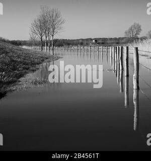 Naturreservat Meinerswijk bei Arnhem, Niederlande Stockfoto