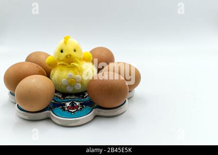 Oster-Gelb-Küken mit auf Weiß isolierten Eiern mit Brett zum Schreiben. Stockfoto